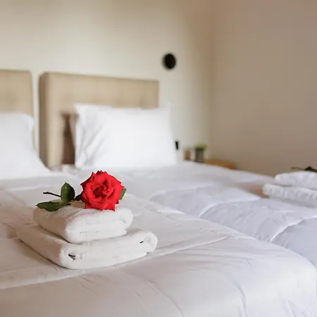 Santos Holidays Dassia  Room photo